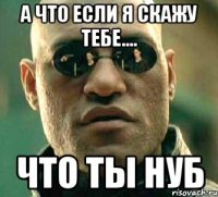 а что если я скажу тебе.... что ты нуб