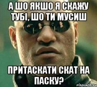 а шо якшо я скажу тубі, шо ти мусиш притаскати скат на паску?