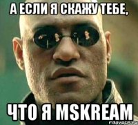 а если я скажу тебе, что я MSkream