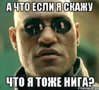 А что если я скажу Что я тоже нига?