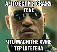 а что если я скажу тебе что Масип не хуже тер штегена