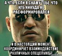 а что, если я скажу тебе, что КГБ никуда не расформировался и в настоящий момент координирует взаимодействие различных спецслужб?