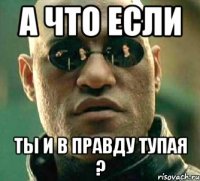 а что если ты и в правду тупая ?