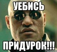 уебись придурок!!!