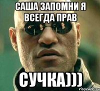 Саша запомни я всегда прав сучка)))