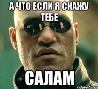 а что если я скажу тебе салам