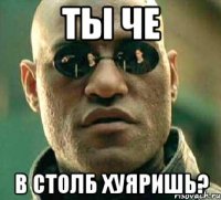 Ты че В столб хуяришь?