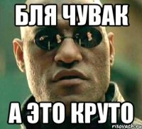 бля чувак а это круто