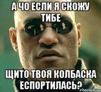 а чо если я скожу тибе щито твоя колбаска еспортилась?