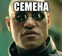 семена 