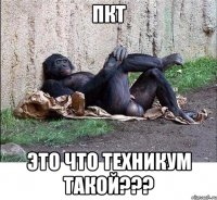 пкт это что техникум такой???