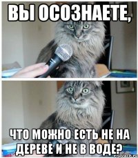 Вы осознаете, Что можно есть не на дереве и не в воде?