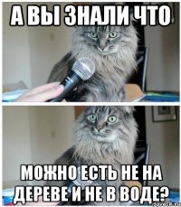 А вы знали что Можно есть не на дереве и не в воде?