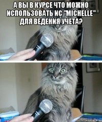 А вы в курсе что можно использовать ИС "Michelle" для ведения учета? 