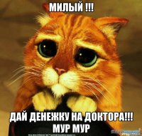 Милый !!! Дай Денежку на доктора!!! Мур мур