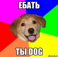 ебать ты Dog