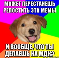 может перестанешь репостить эти мемы и вообще, что ты делаешь на МДК?