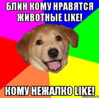 БЛИН КОМУ НРАВЯТСЯ ЖИВОТНЫЕ LiKe! КОМУ НЕЖАЛКО LiKe!