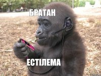 Братан естілема