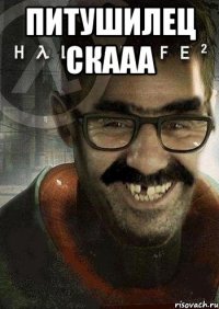 ПИТУШИЛЕЦ СКААА 