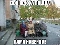 Вон Ксюха пошла Лама наверное