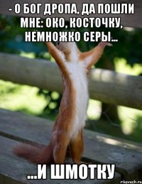 - О Бог Дропа, да пошли мне: око, косточку, немножко серы... ...и шмотку