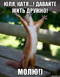 Юля, Катя....! Давайте жить дружно! МОЛЮ!)