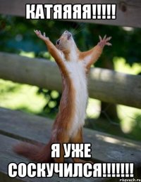 КАТЯЯЯЯ!!!!! Я уже соскучился!!!!!!!