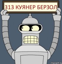 313 куянер берзол