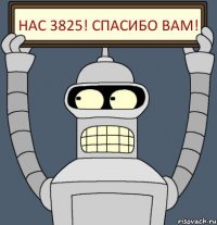 нас 3825! Спасибо вам!