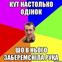 КУТ НАСТОЛЬКО ОДІНОК ШО В НЬОГО ЗАБЕРЕМЄНІЛА РУКА