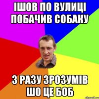 Ішов по вулиці побачив собаку з разу зрозумів шо це боб