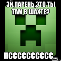 Эй,парень,это ты там в шахте? Псссссссссс...