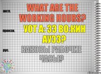 What are the working hours? уот а: зэ во:кин ауэз? Каковы рабочие часы?