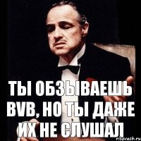 Ты обзываешь BVB, но ты даже их не слушал