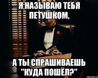 Я называю тебя петушком, а ты спрашиваешь "Куда пошёл?"