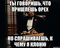 ты говоришь, что пришлешь орех но спрашиваешь, к чему я клоню