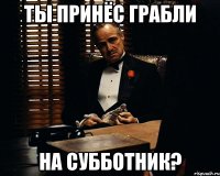 ты принёс грабли на субботник?