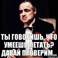 Ты говоришь, что умеешь летать? Давай проверим...