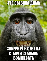 Это обезяна дима забери её к себе на стену и станешь бомжевать