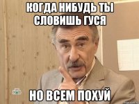 Когда нибудь ты словишь гуся Но всем похуй