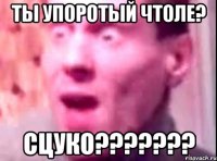 Ты упоротый чтоле? Сцуко???????