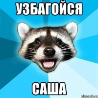 узбагойся саша