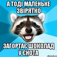 А тоді маленьке звірятко загортає шоколад у єнота