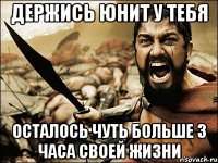 Держись Юнит у тебя осталось чуть больше 3 часа своей жизни