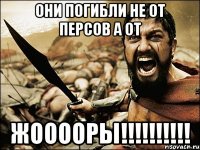 Они погибли не от Персов а от ЖООООРЫ!!!!!!!!!!