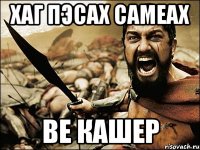 Хаг пэсах самеах Ве кашер