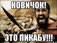 Новичок! Это ПИКАБУ!!!