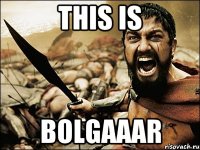 THIS IS BOLGAAAR