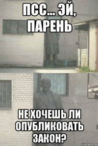 Псс... Эй, парень не хочешь ли опубликовать закон?